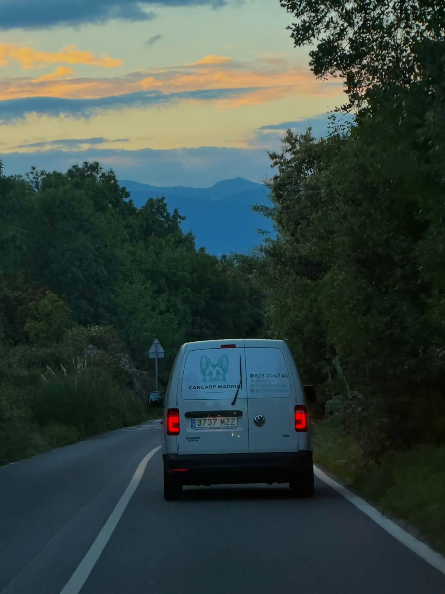 Furgoneta adaptada para transporte de mascotas
