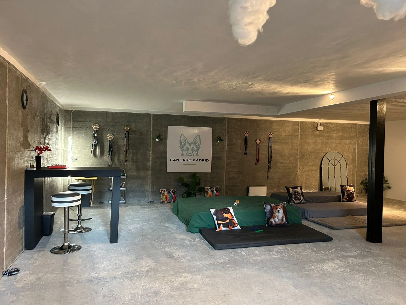 Zona exterior para perros