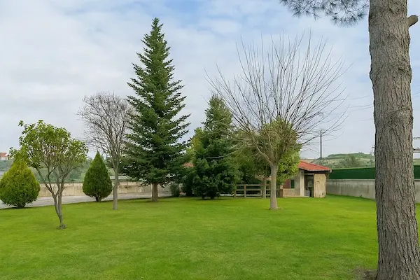 Zona exterior para perros