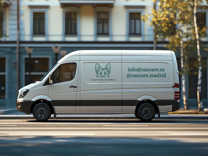 Furgoneta adaptada para transporte de mascotas